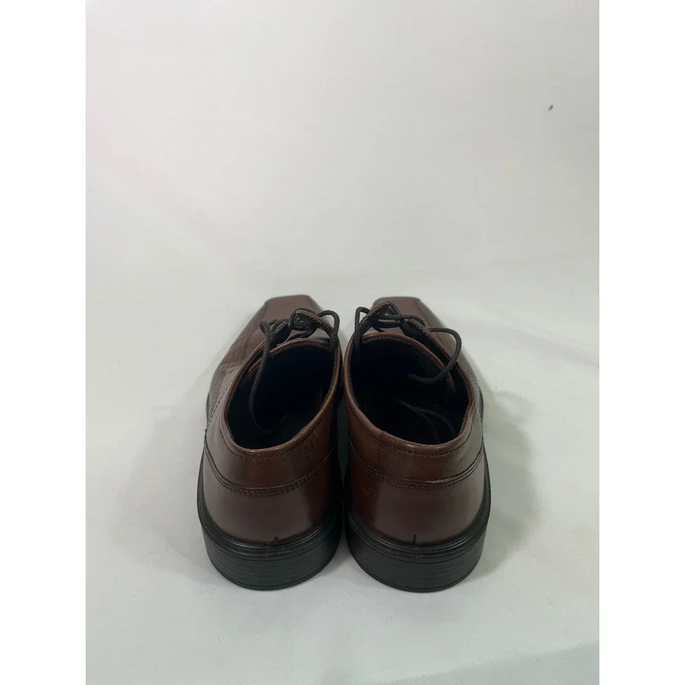 Ecco elevate your